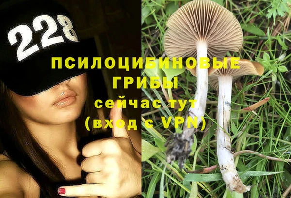 прущие грибы Кулебаки