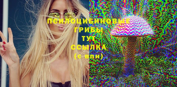 прущие грибы Кулебаки