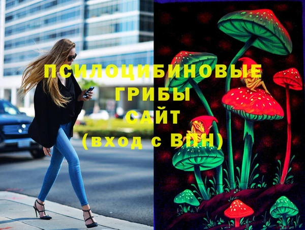 герыч Ладушкин