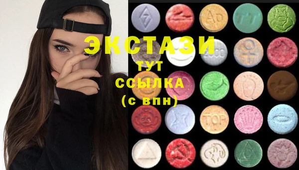 СК Новосибирск