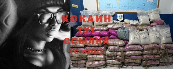 прущие грибы Кулебаки