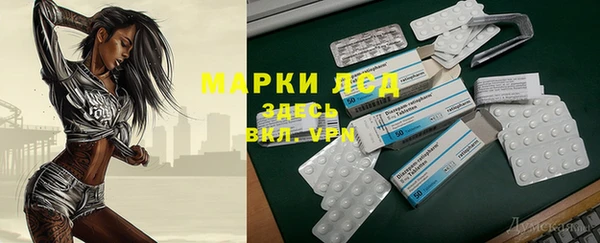 прущие грибы Кулебаки