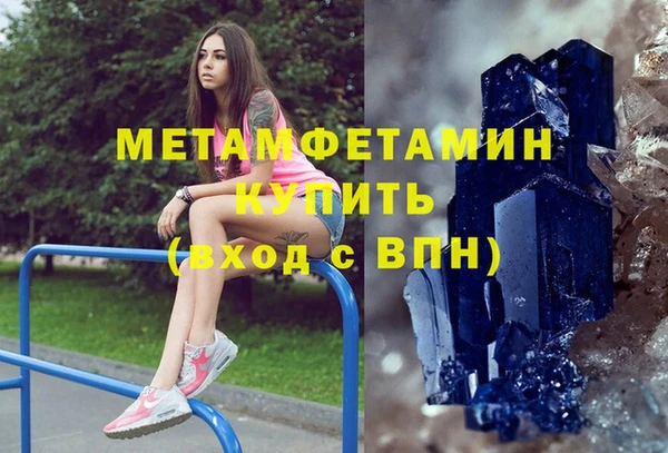 прущие грибы Кулебаки