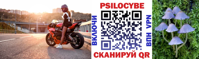 купить закладку  Фёдоровский  Псилоцибиновые грибы мухоморы 